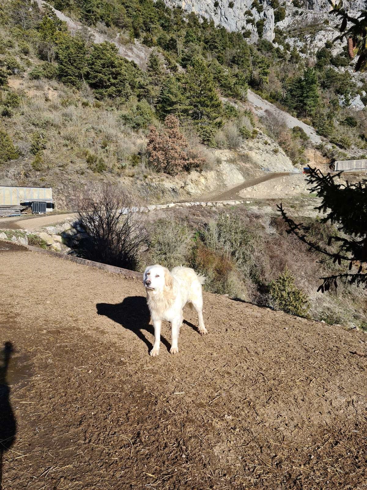 20210126 rocca spa 48 