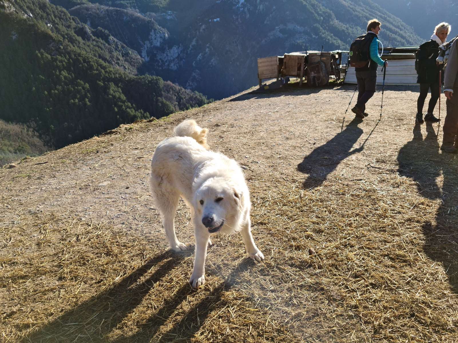 20210126 rocca spa 49 