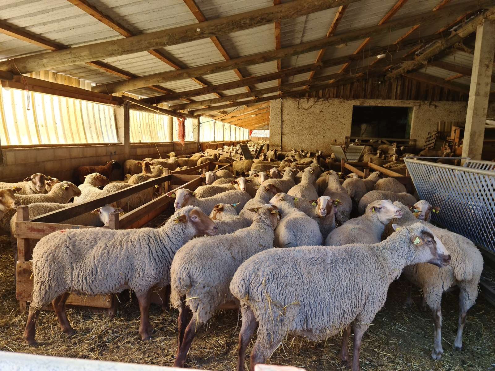 20210126 rocca spa 50 