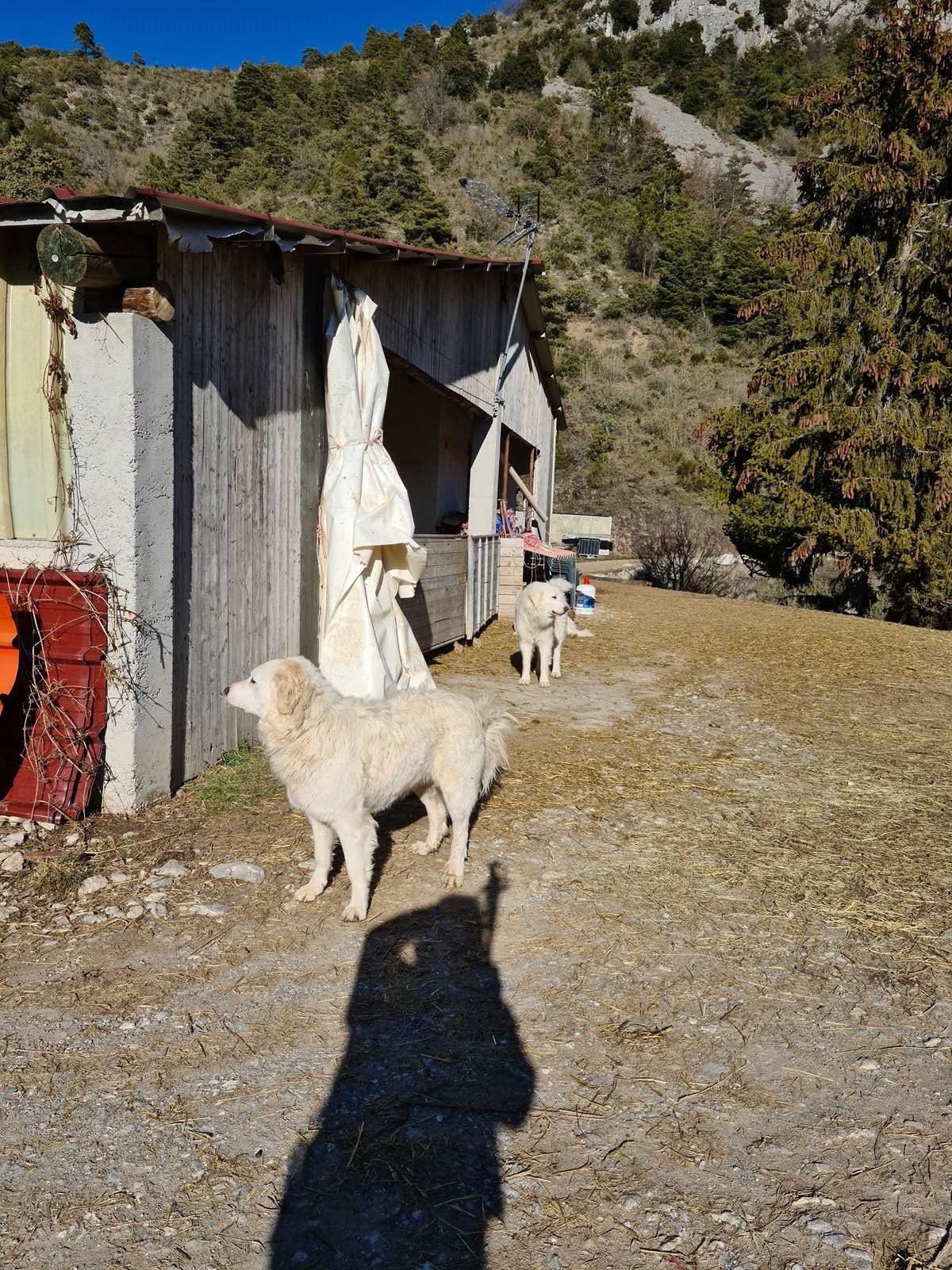 20210126 rocca spa 51 