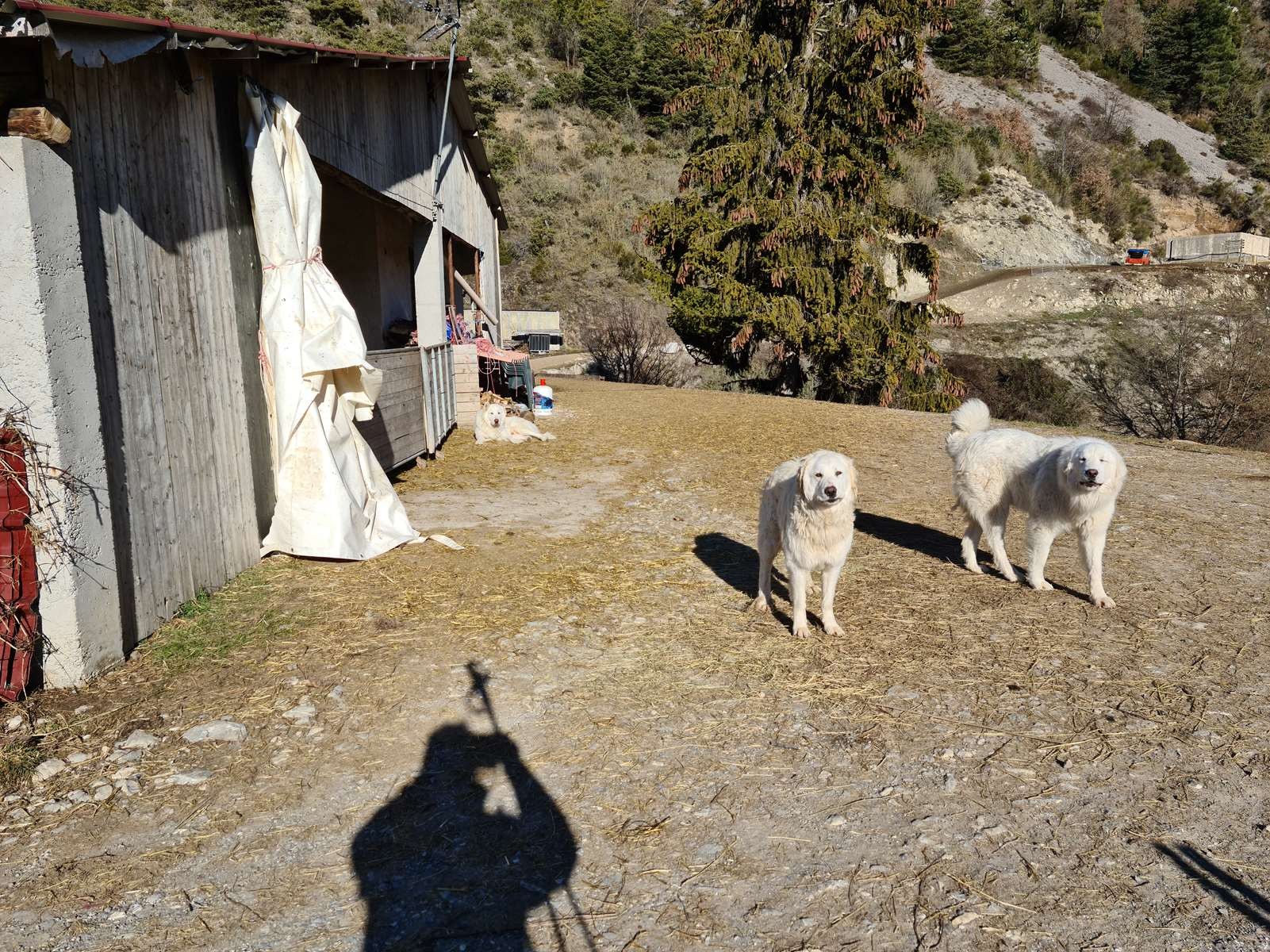 20210126 rocca spa 53 