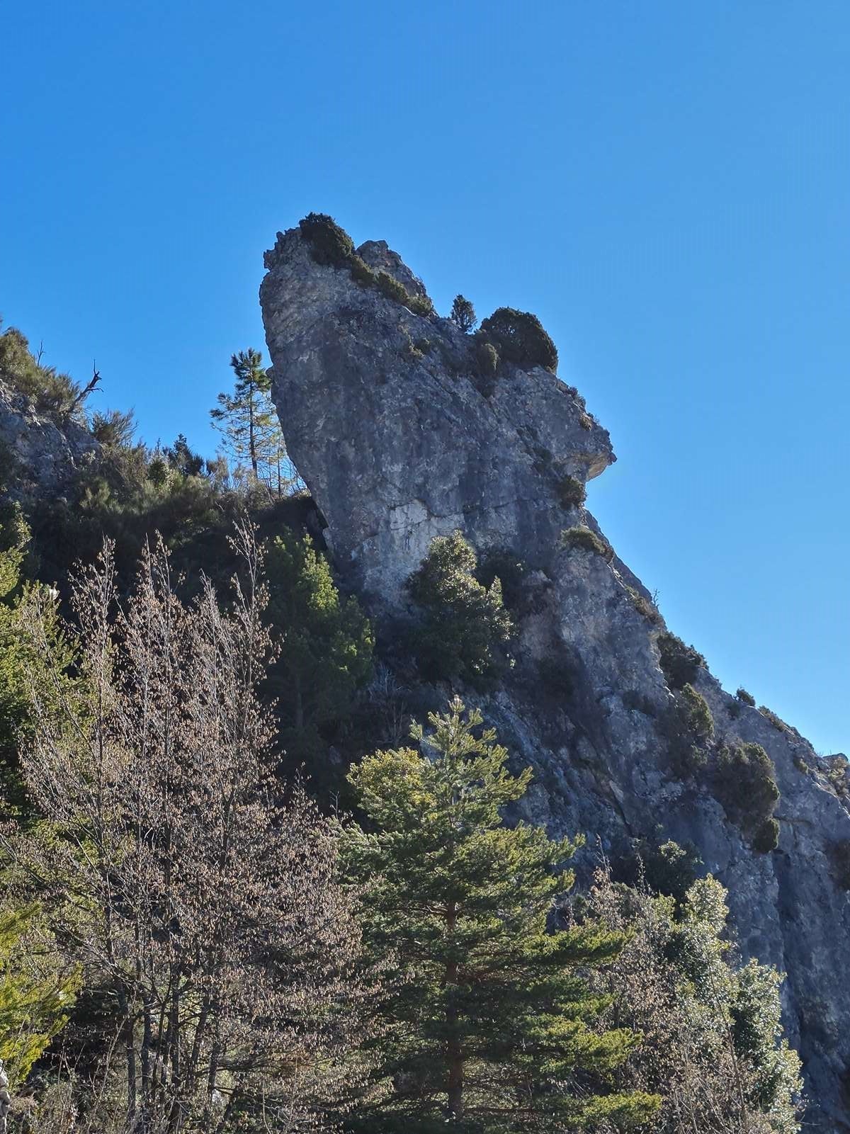 20210126 rocca spa 79 