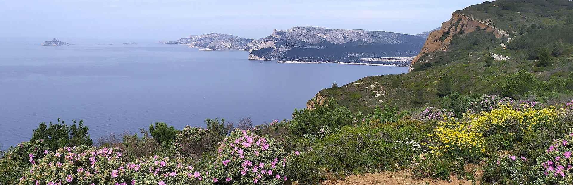 240415 17 escourches 02