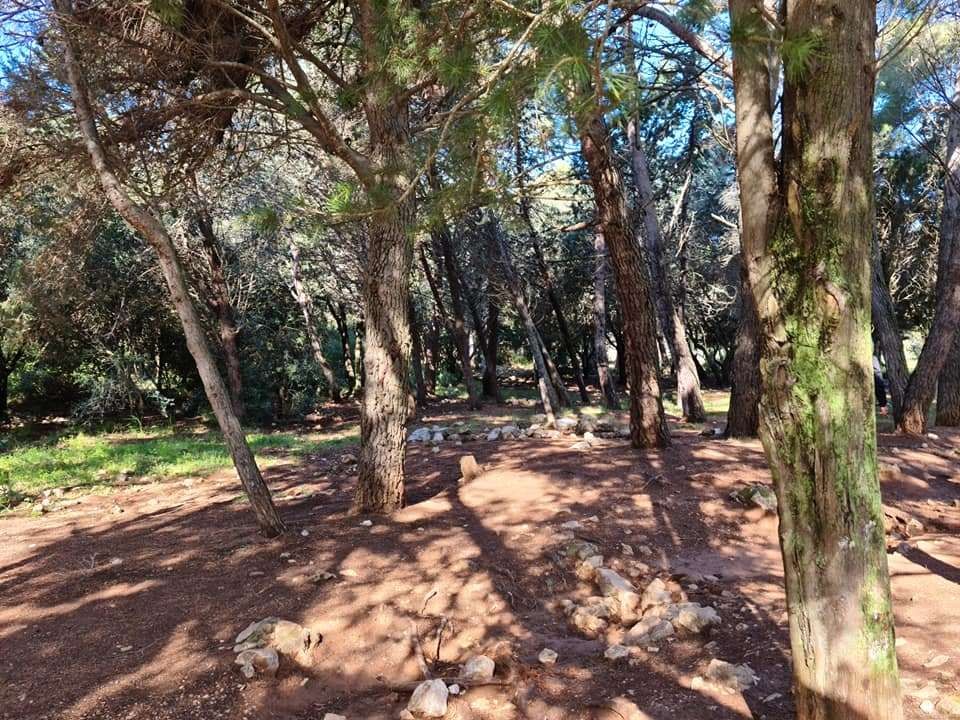 Aire st michel 13042021 77 