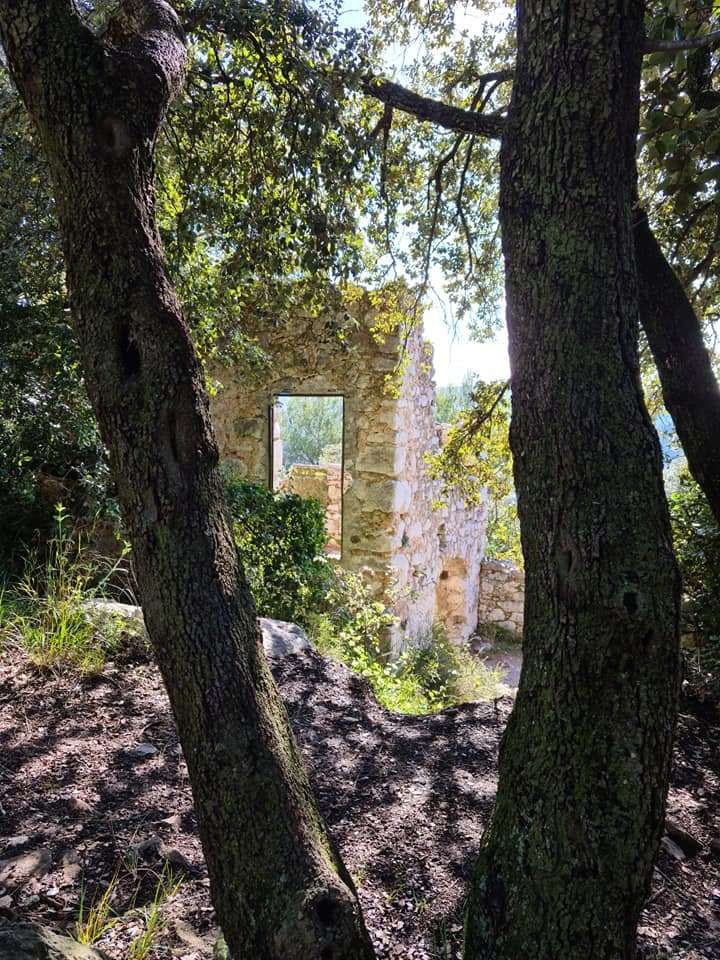 Aire st michel 13042021 81 