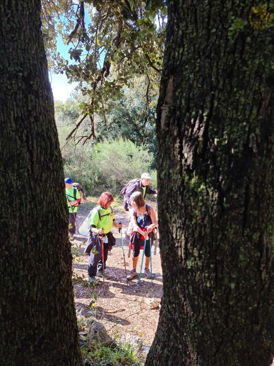 Aire st michel 13042021 87 