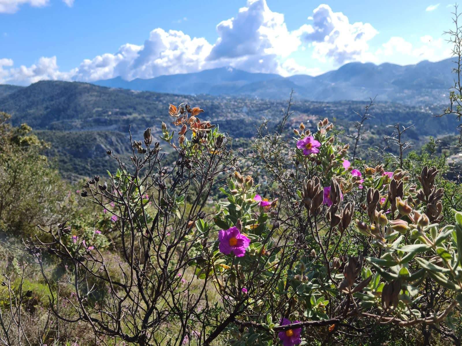 Aire st michel 13042021 90 