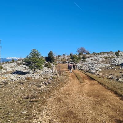 Balcon du var 23012024 5 