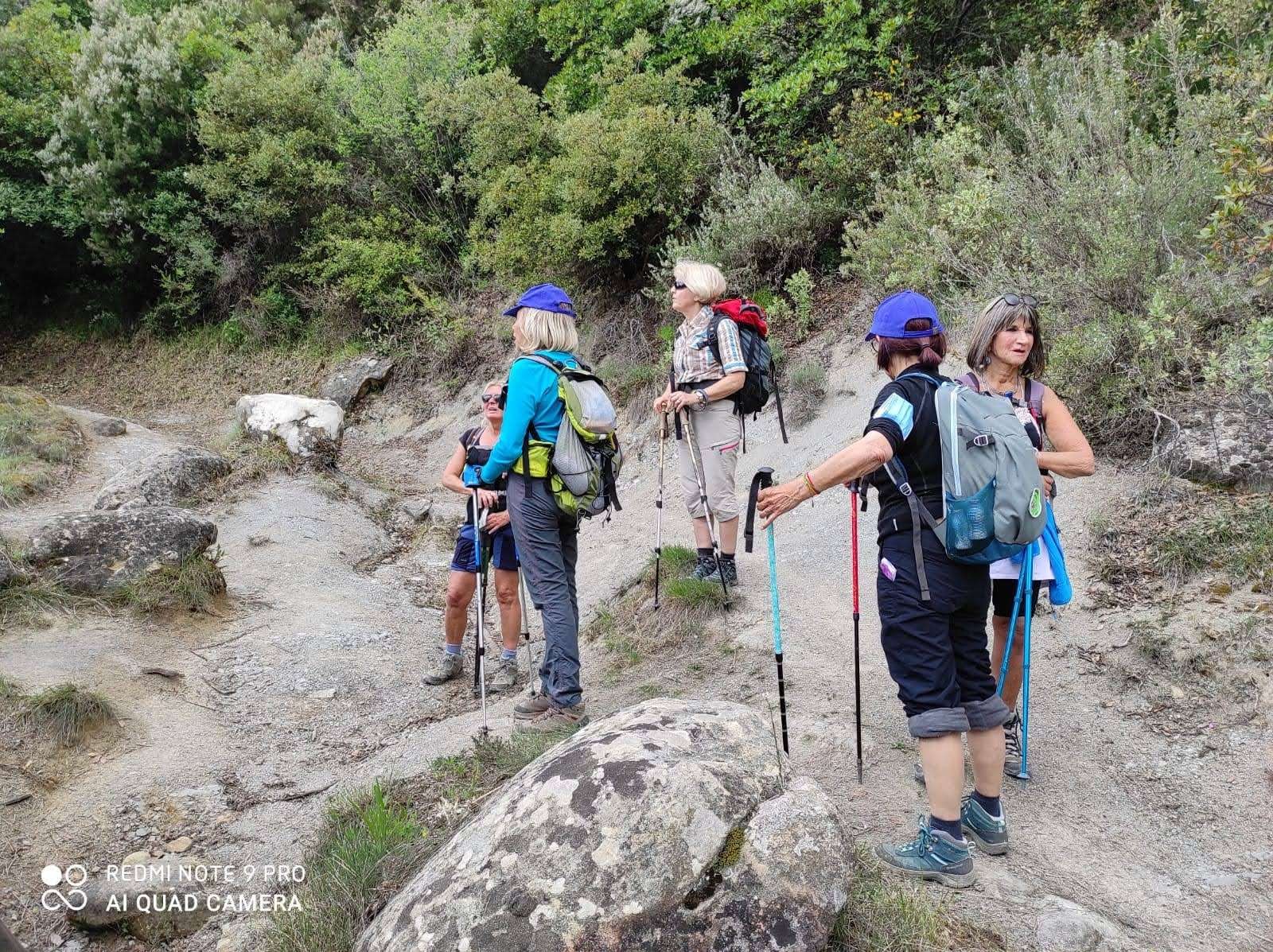 Foret paillon04052021 100 