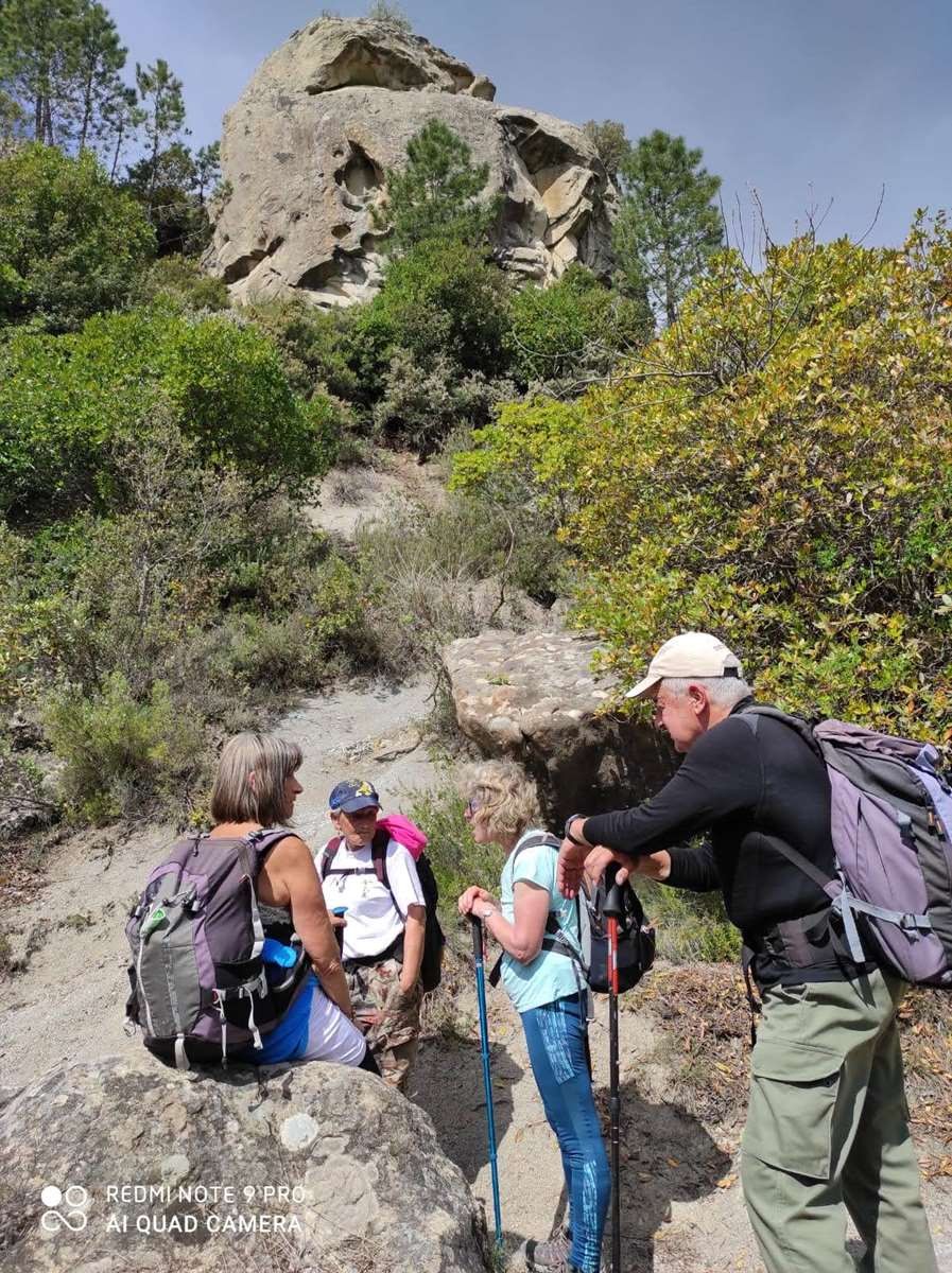 Foret paillon04052021 101 