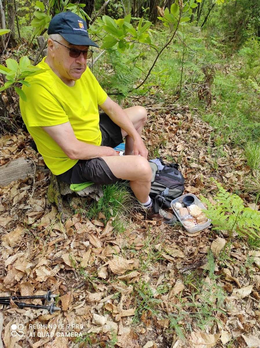 Foret paillon04052021 103 