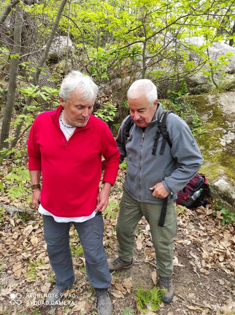 Foret paillon04052021 104 