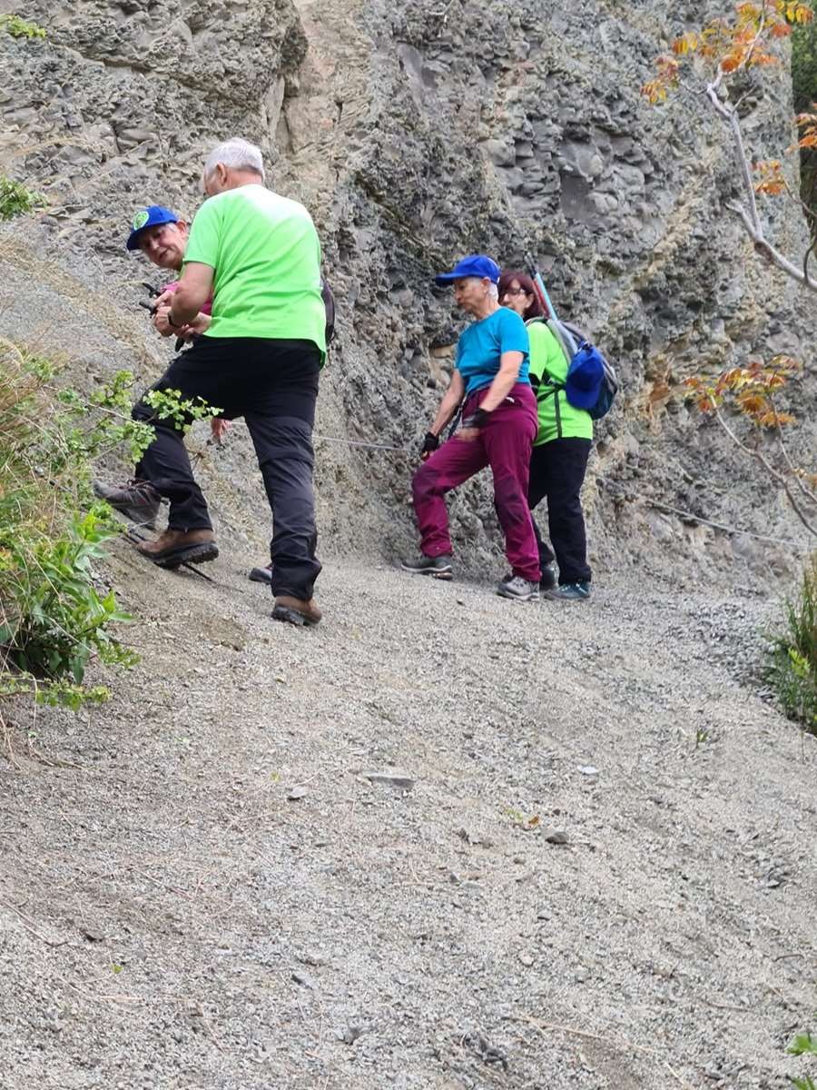 Foret paillon04052021 105 