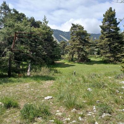 Greoliere les pivoines 17 