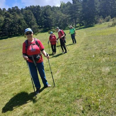 Greoliere les pivoines 18 