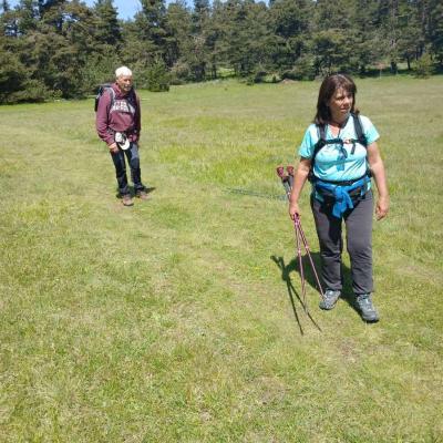 Greoliere les pivoines 19 