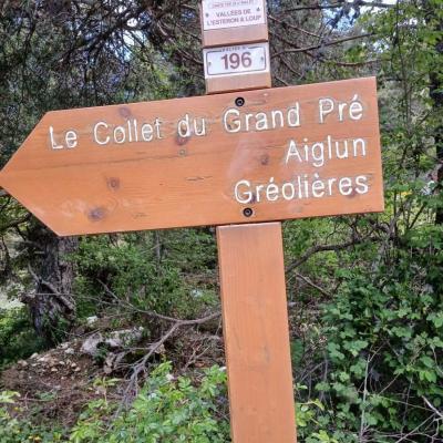 Greoliere les pivoines 21 