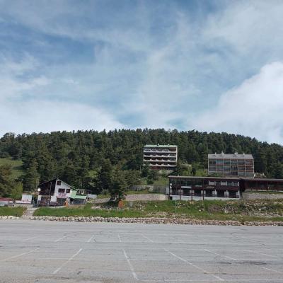 Greoliere les pivoines 4 