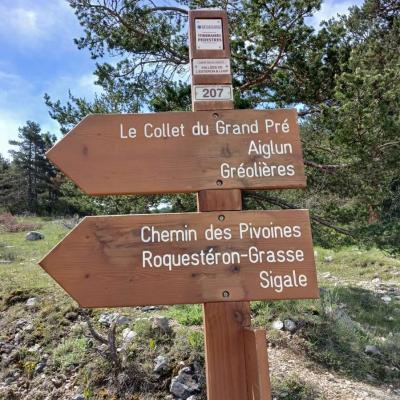 Greoliere les pivoines 6 