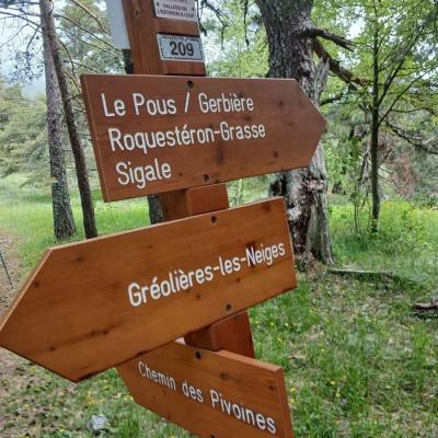 Greoliere les pivoines 9 