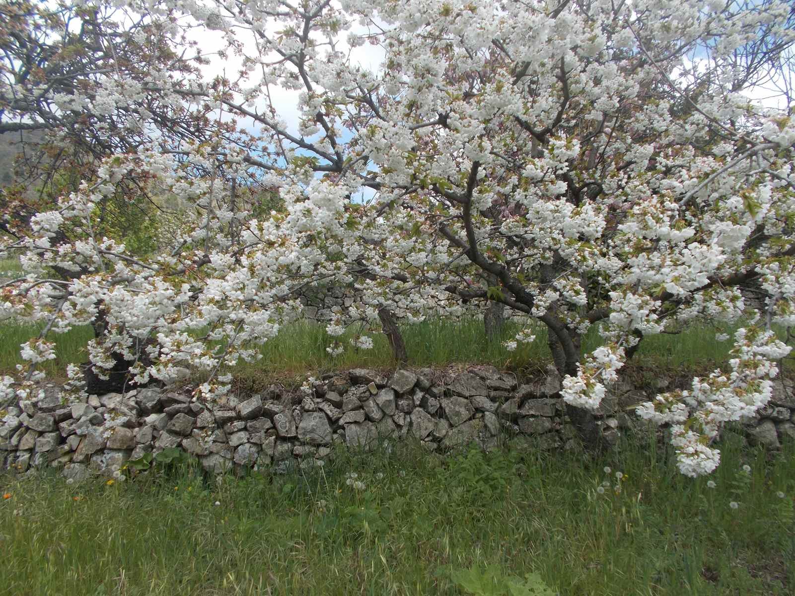 La baisse du pape26042022 79 