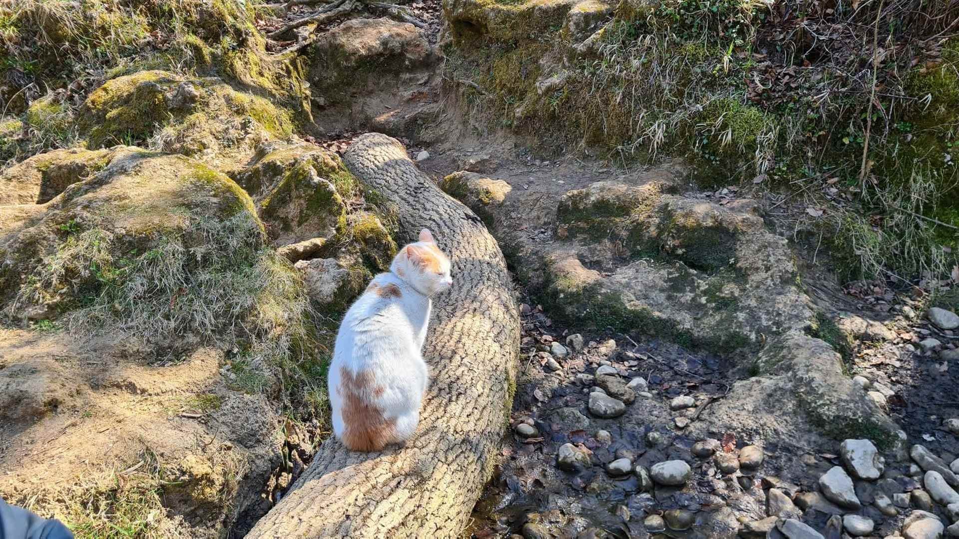 La siagne 22032022 90 