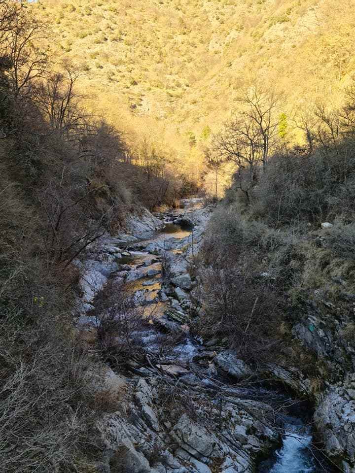 Le moulinet 11012022 115 