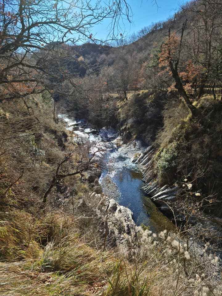 Le moulinet 11012022 117 