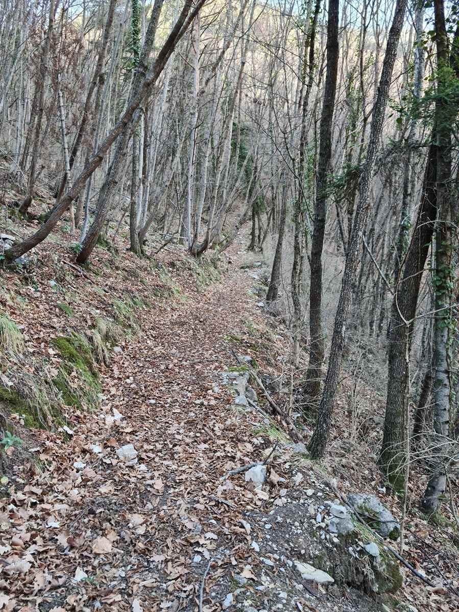 Le moulinet 11012022 119 