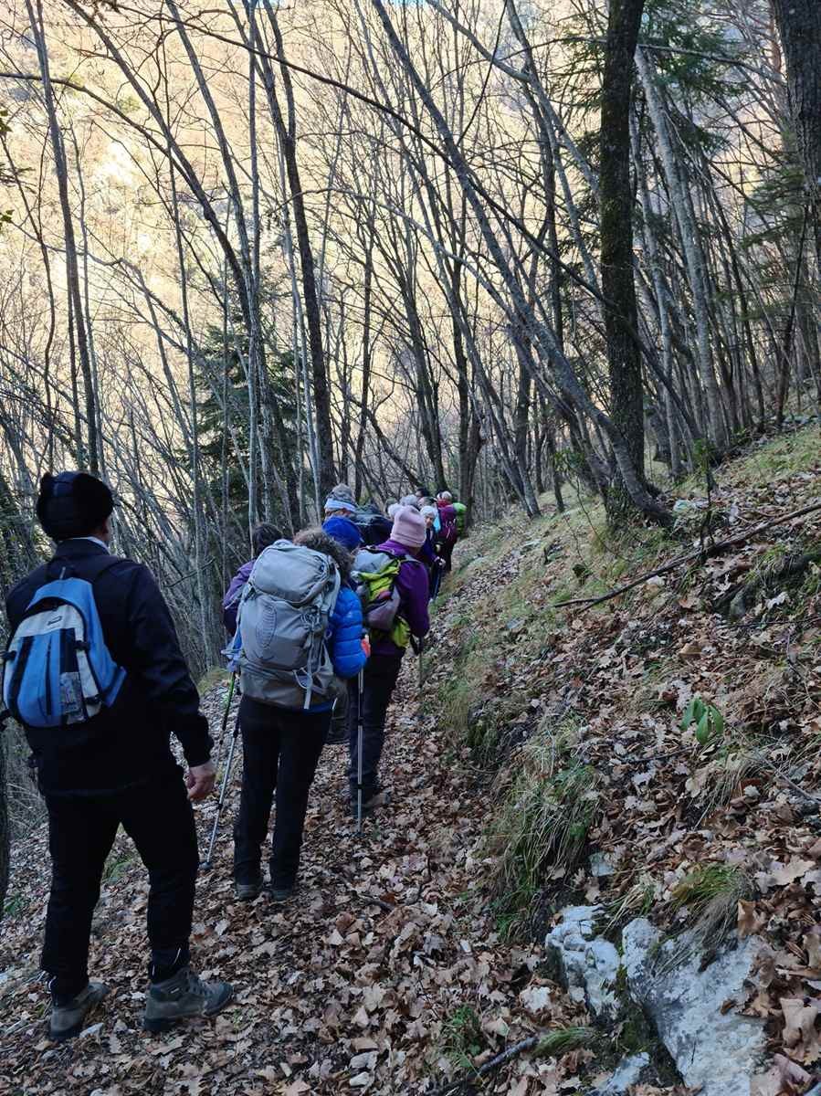 Le moulinet 11012022 120 