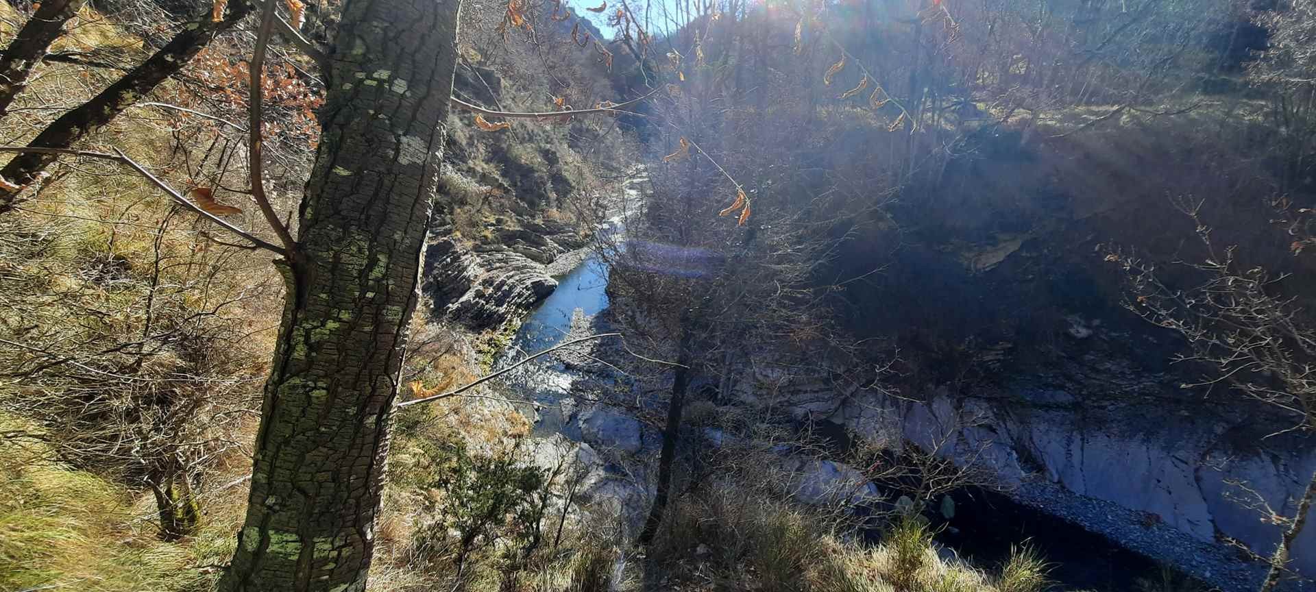 Le moulinet 11012022 83 