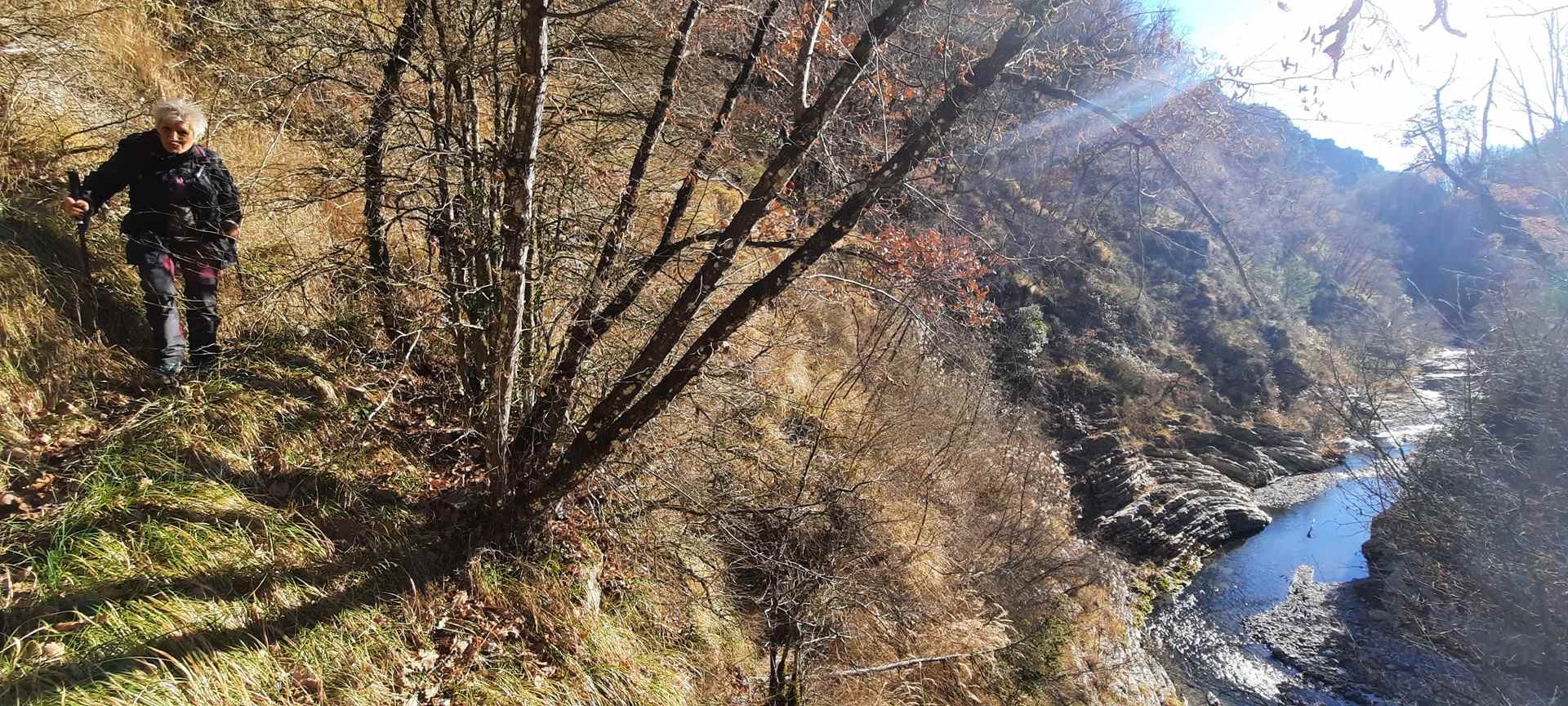 Le moulinet 11012022 84 