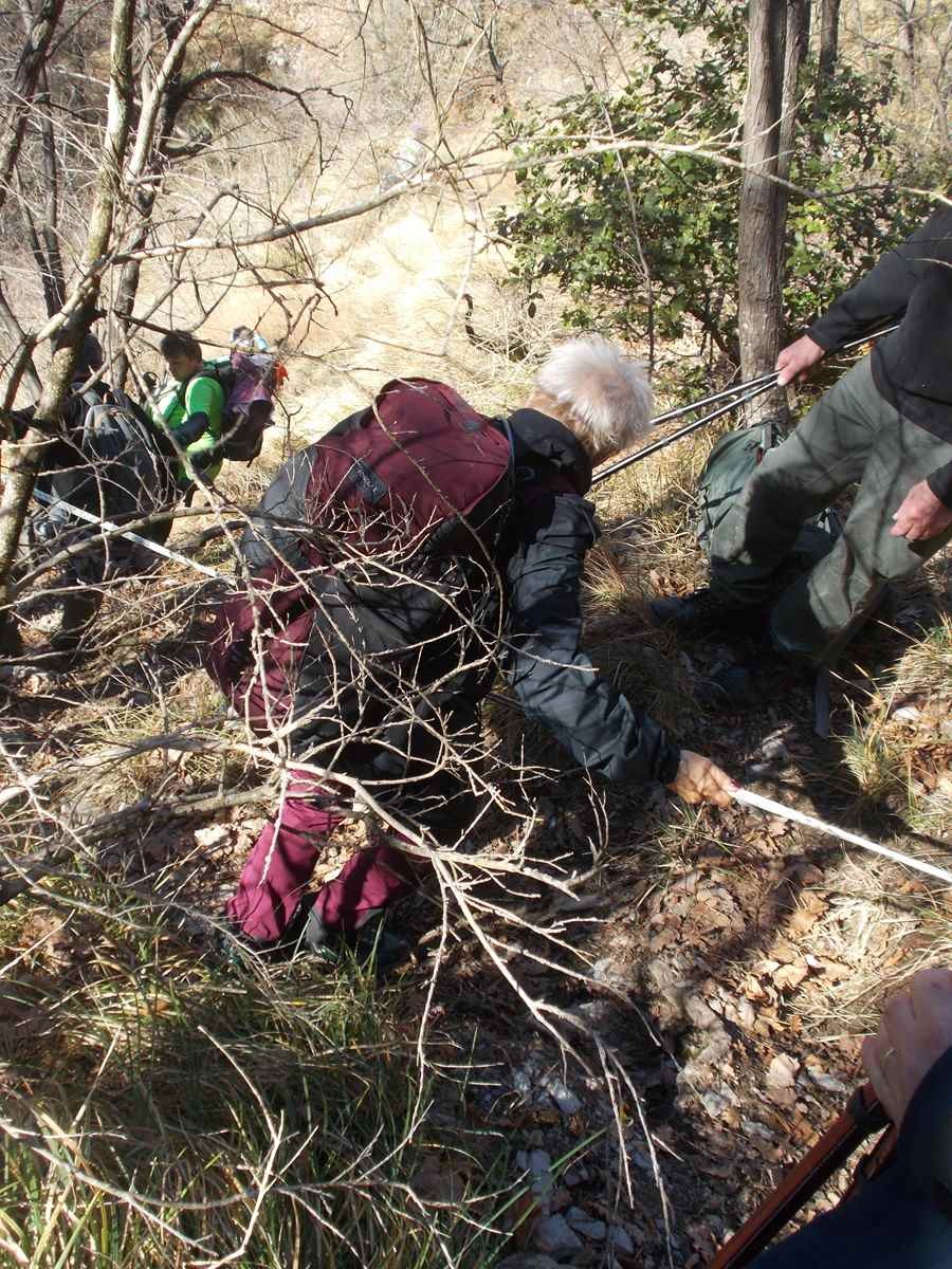 Le moulinet 11012022 85 