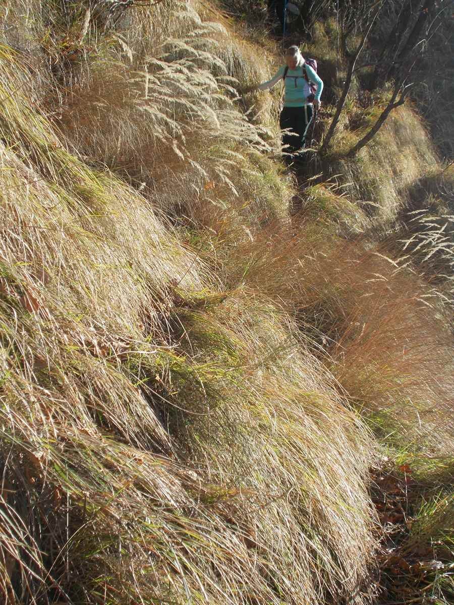 Le moulinet 11012022 87 