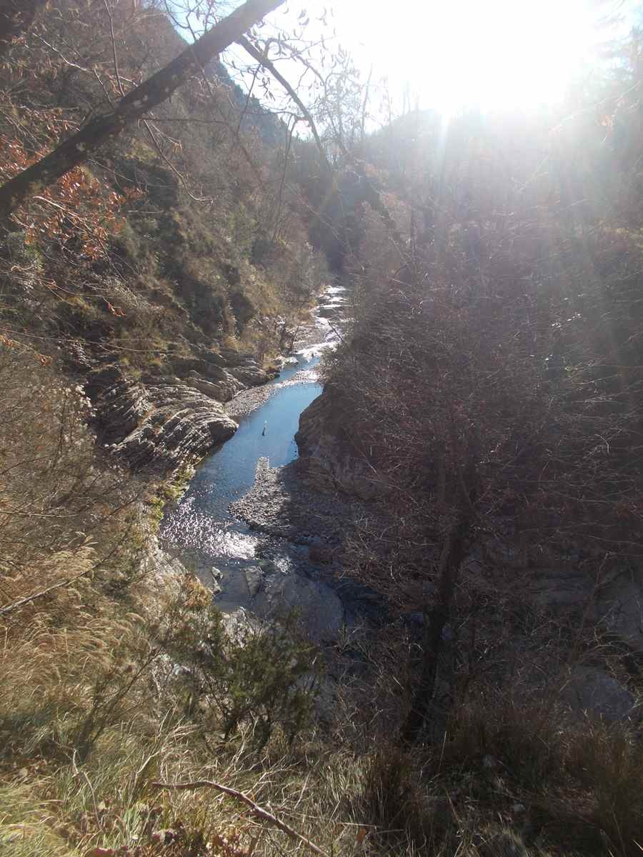 Le moulinet 11012022 88 