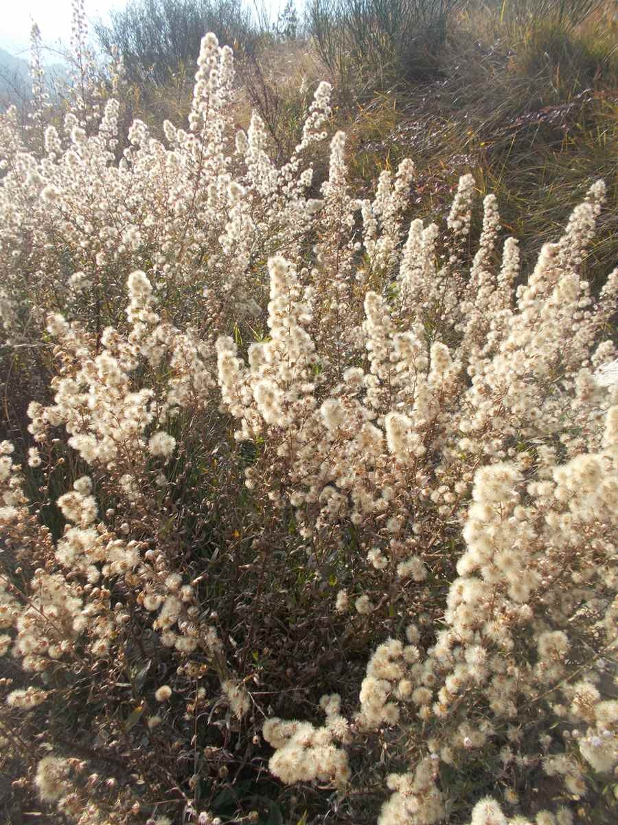 Le tour du mont inarte 25012022 70 