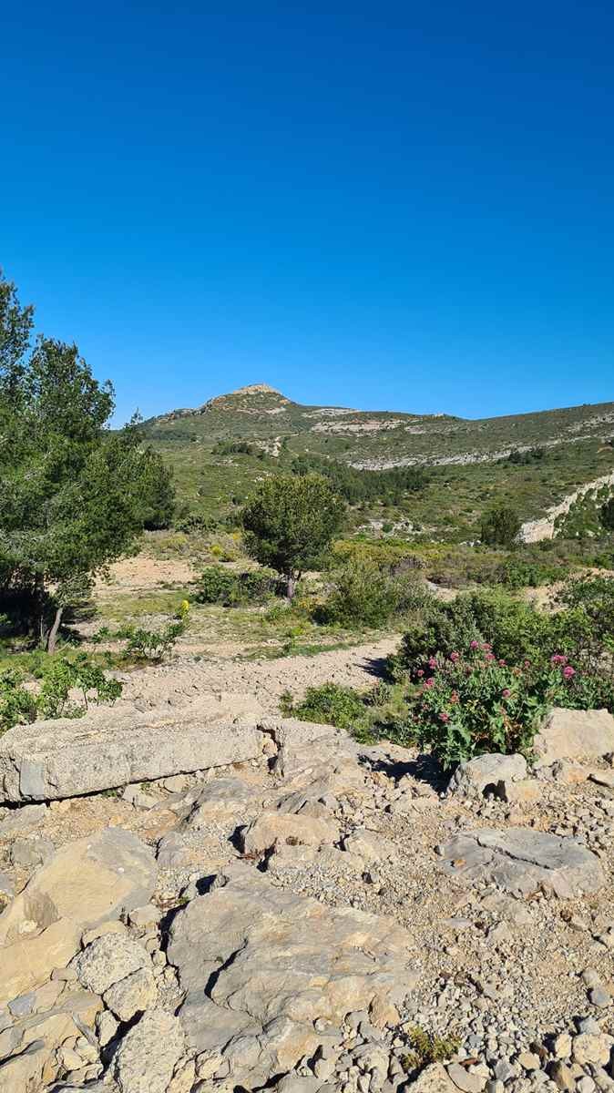 Les escourches 170424 50 