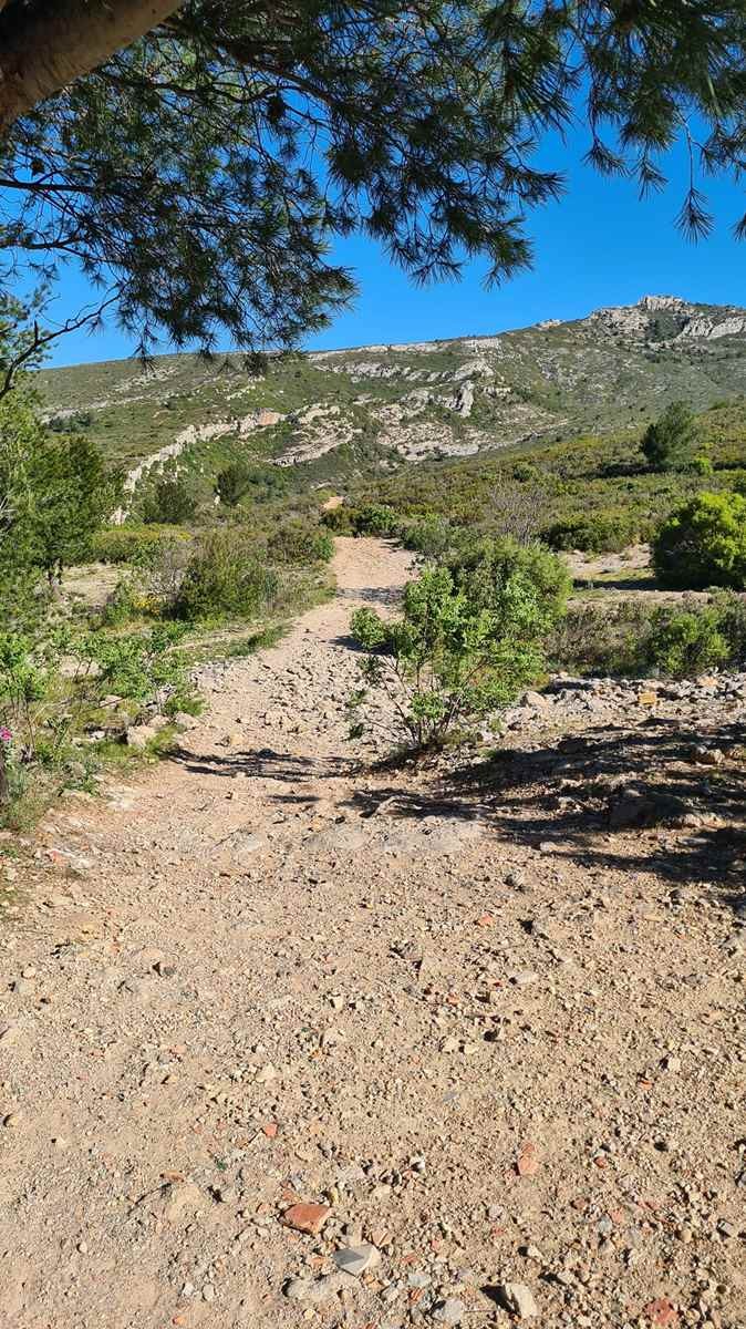 Les escourches 170424 51 