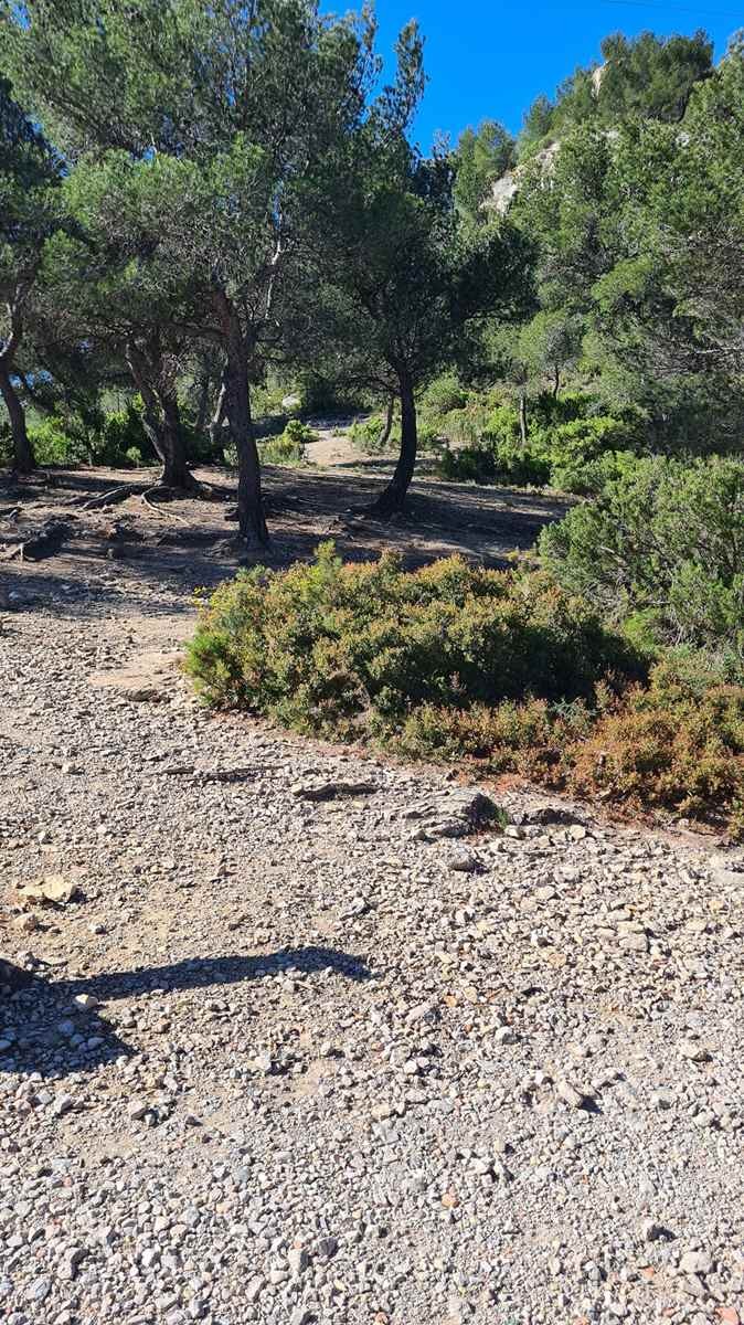 Les escourches 170424 52 