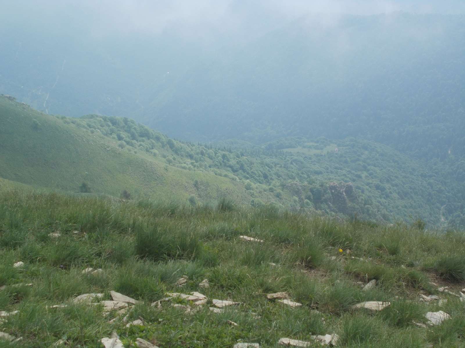 Mangiabo 15062021 27 