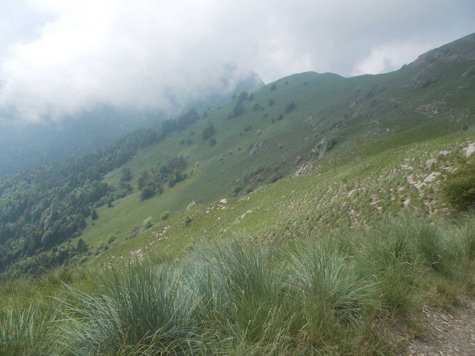 Mangiabo 15062021 29 