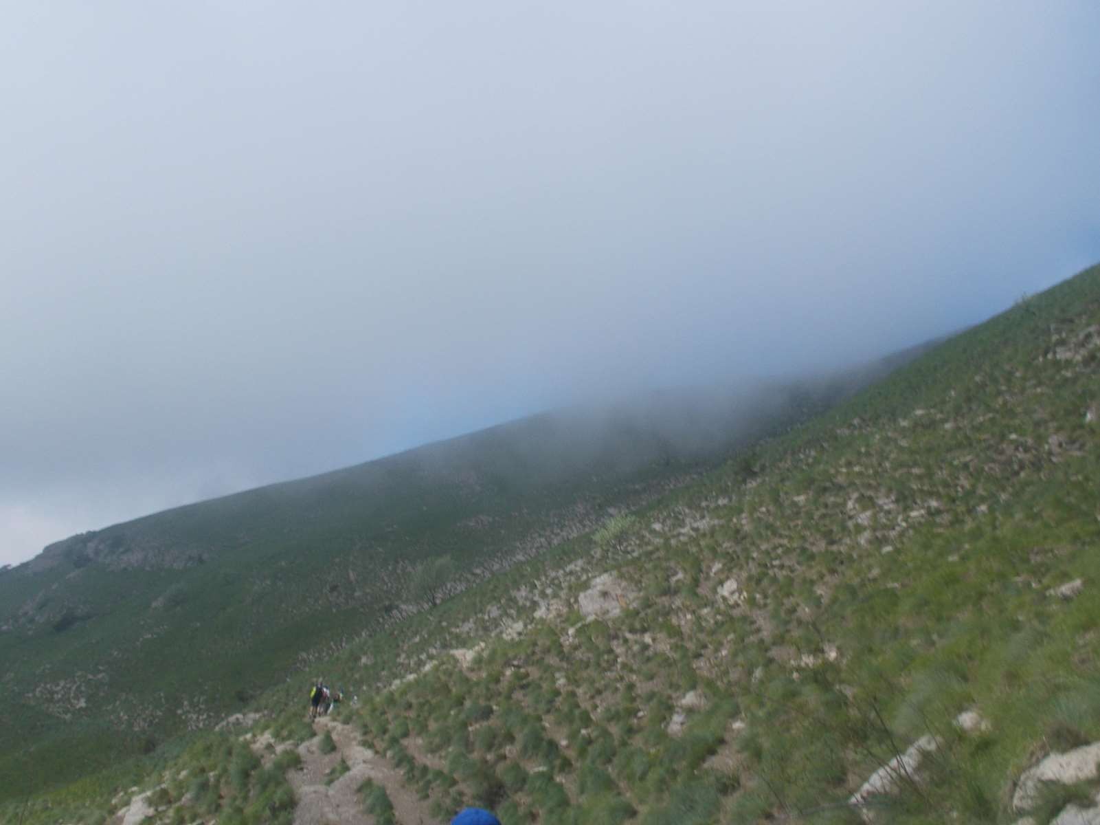 Mangiabo 15062021 30 