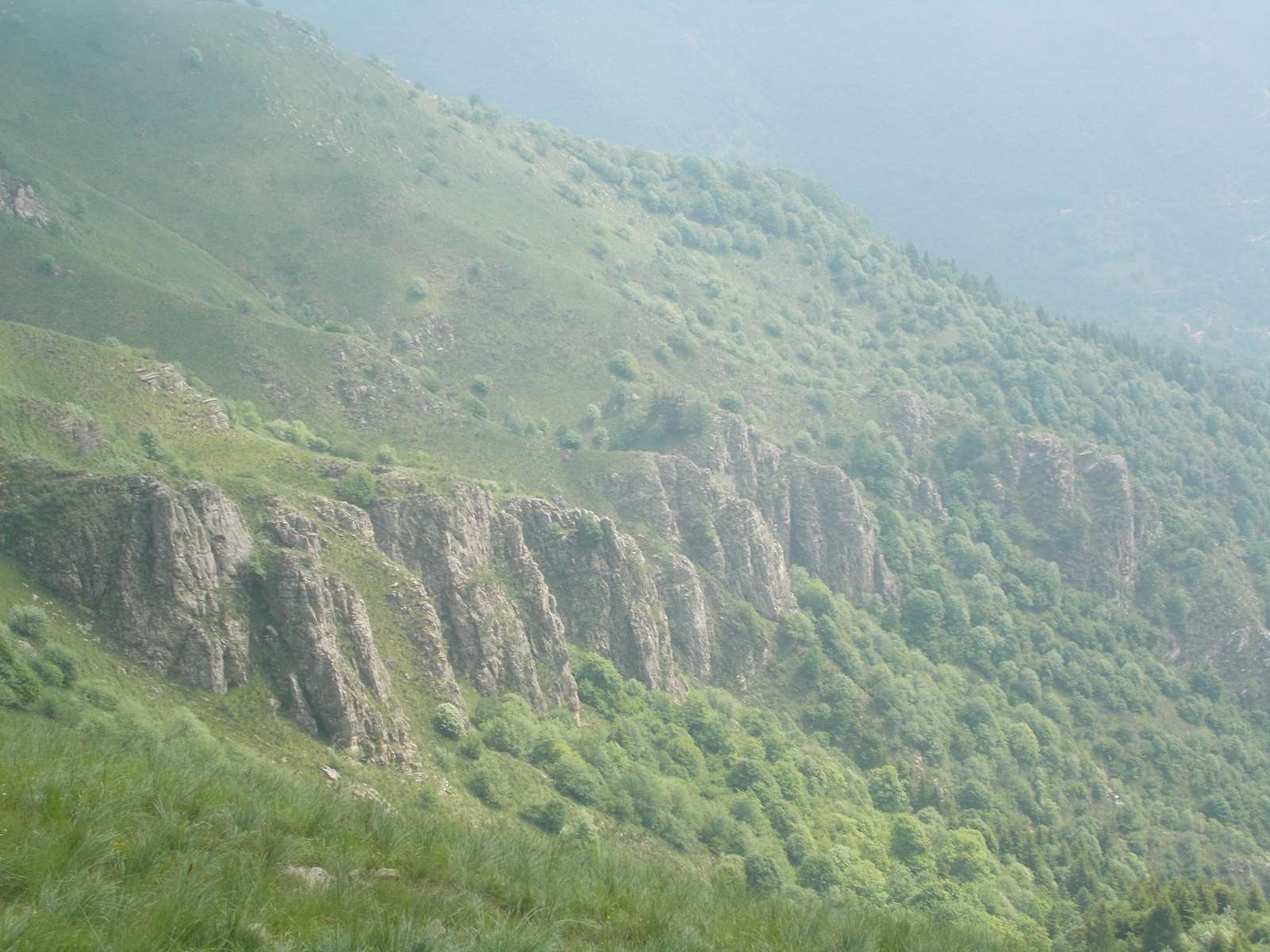 Mangiabo 15062021 31 