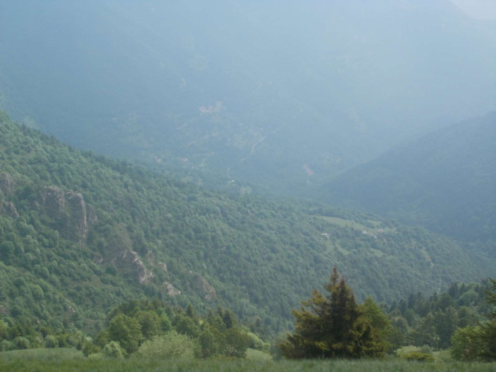 Mangiabo 15062021 32 