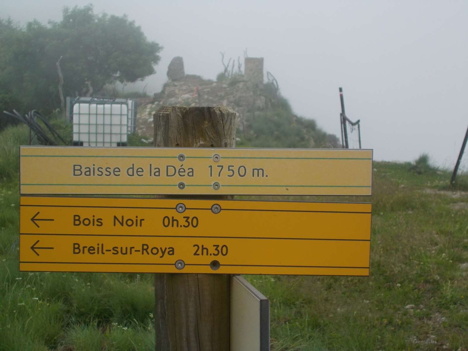 Mangiabo 15062021 35 