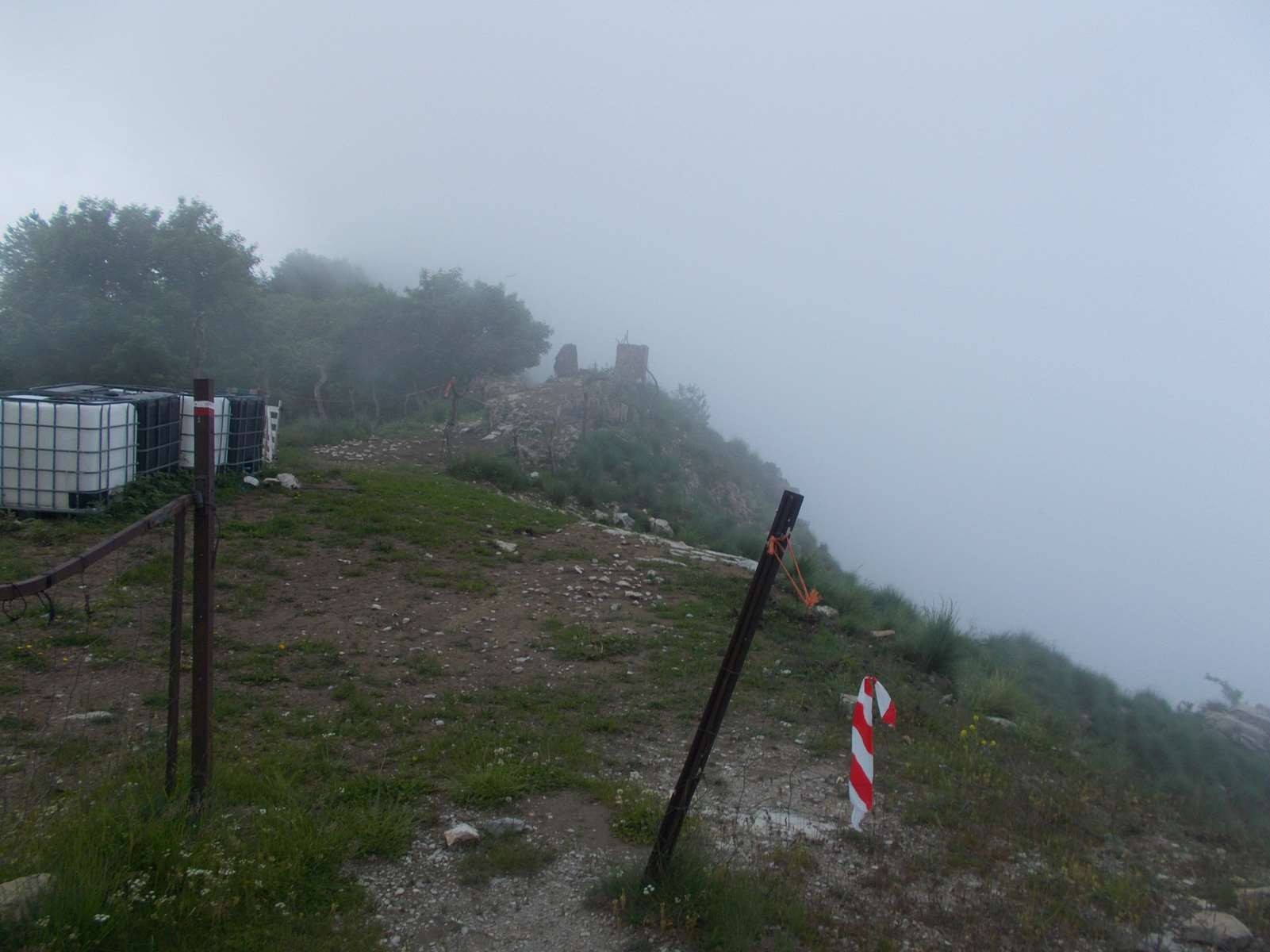 Mangiabo 15062021 38 