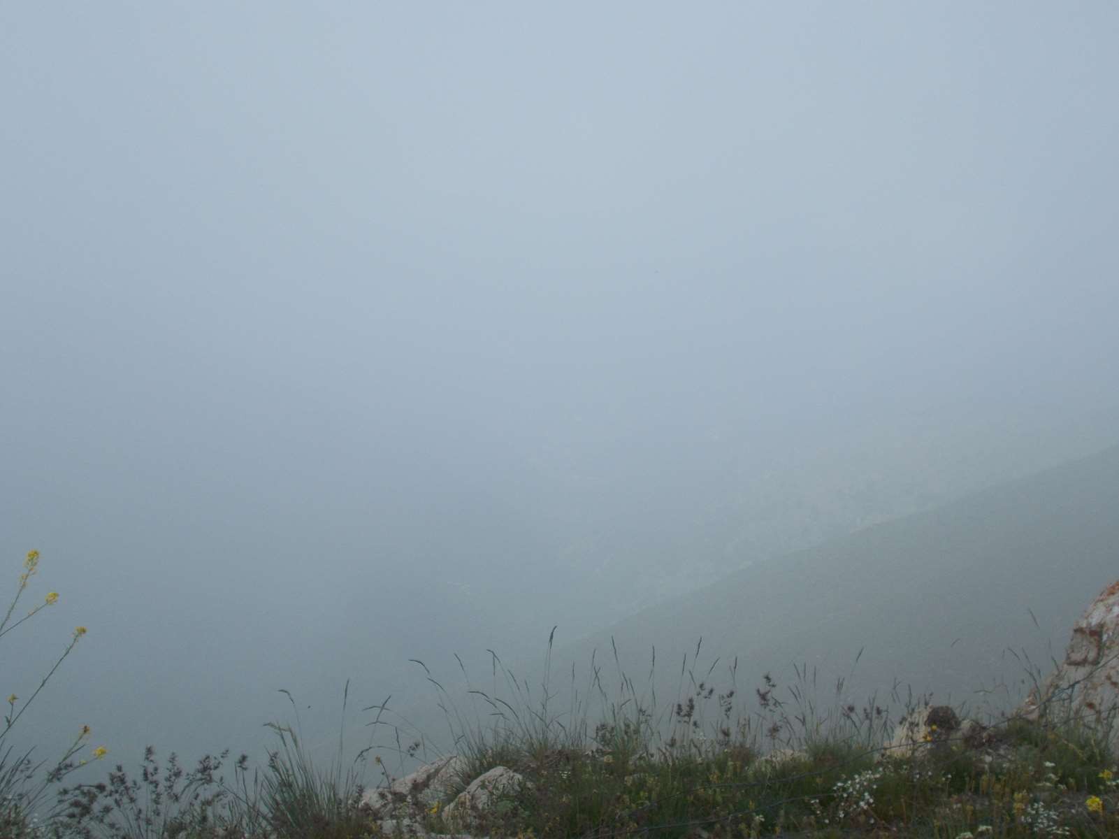 Mangiabo 15062021 39 