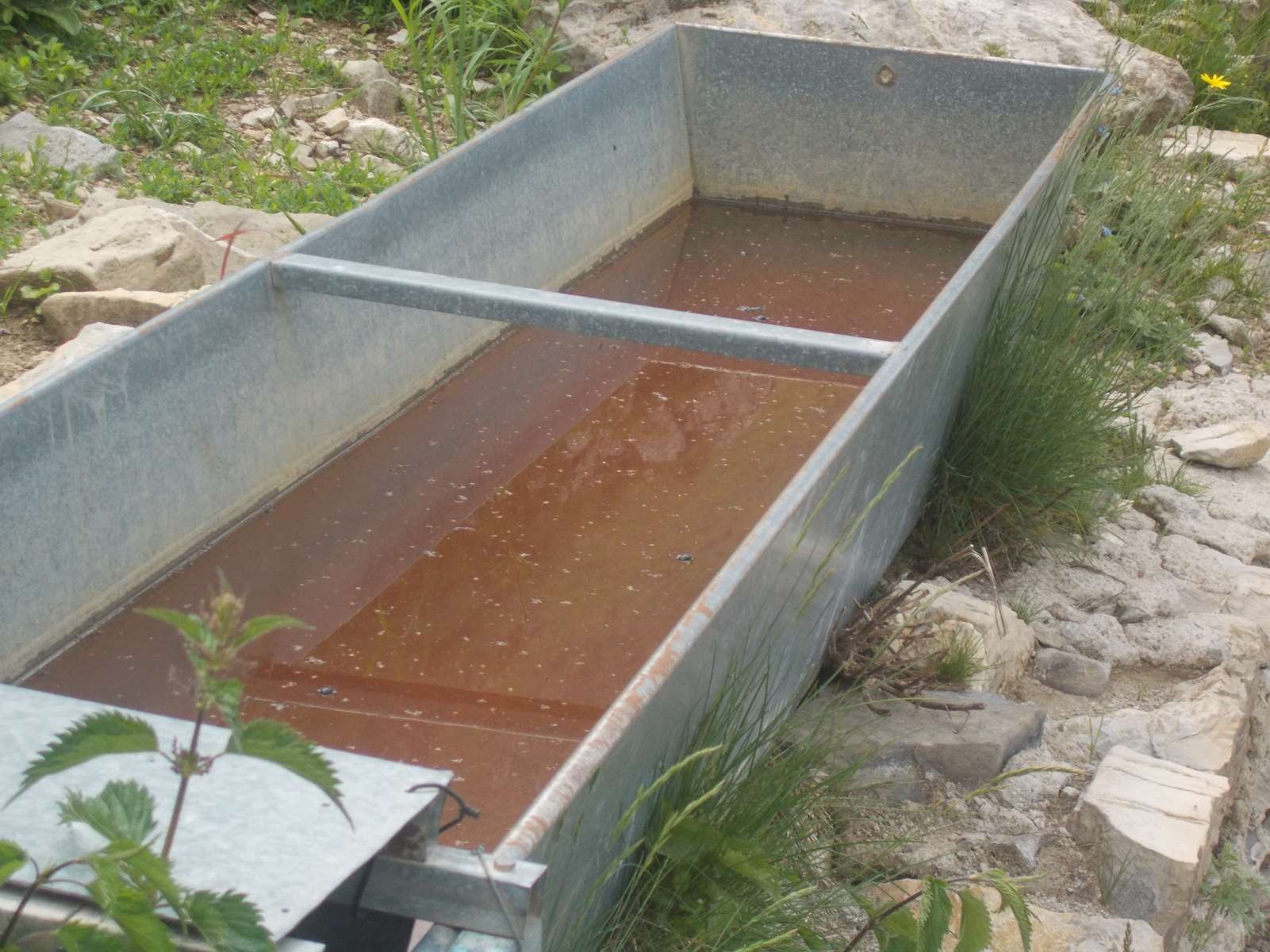 Mangiabo 15062021 44 