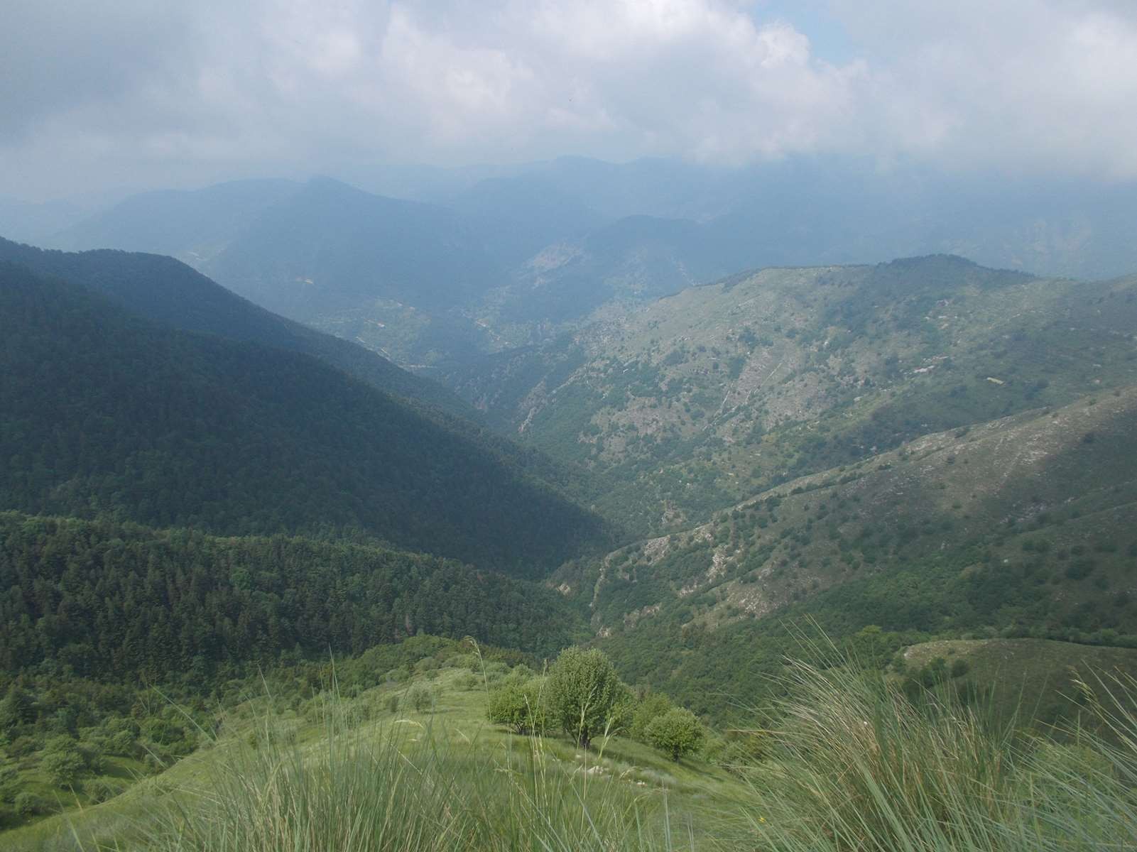 Mangiabo 15062021 48 