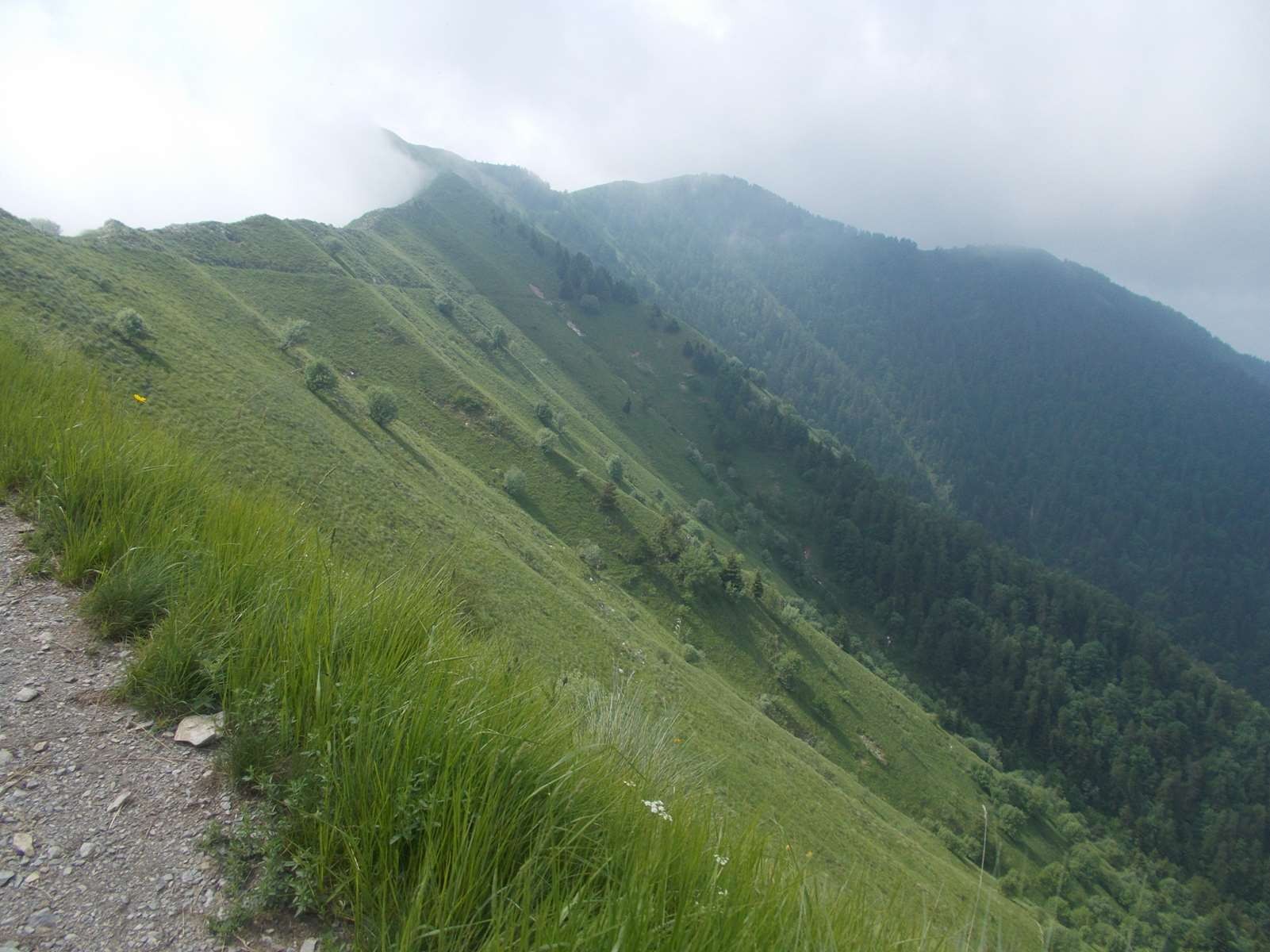 Mangiabo 15062021 49 